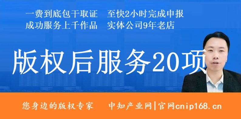 版权作品后续服务20项